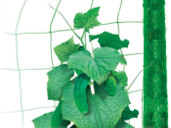 Огуречная сетка