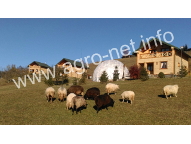 Теплицы и парники