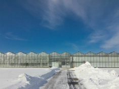 Армированная пленка для теплиц